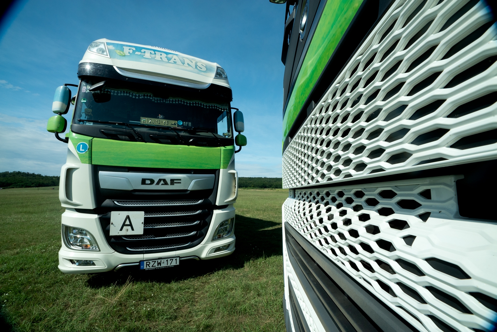 F-TRANS DAF kamion és a hűtőrács közelképe