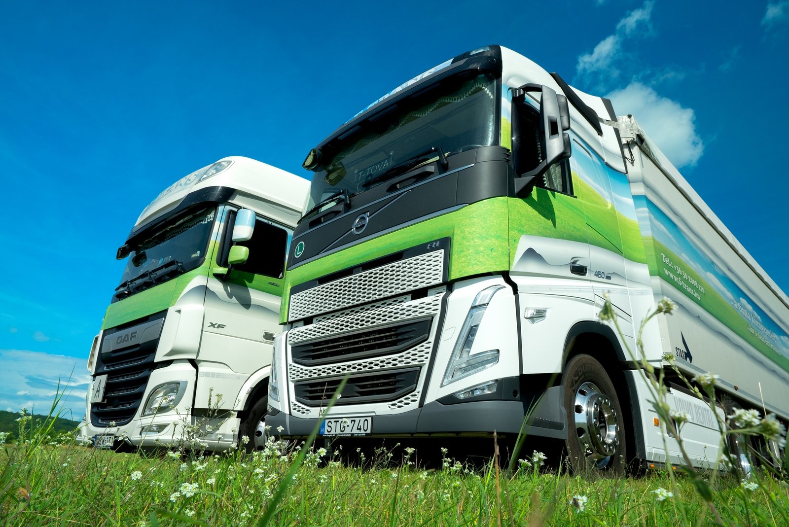 F-TRANS DAF és Volvo nyergesvontató közelről, alulnézetből, virágos réten